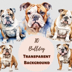 Bulldog Clipart Bundle - Transparent PNG Collection, Digital Prints, Clipart, and Transfers for T-Shirts and DIY Projects and more!