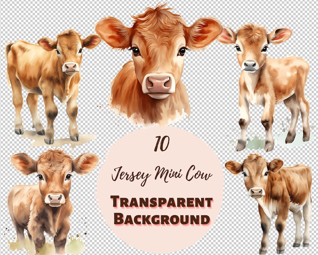 Jersey Mini Cow Clipart Bundle: Watercolor PNG Graphics (digital Prints ...