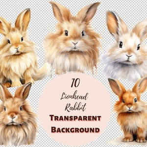 Löwenkopf Kaninchen Clipart Bundle - Transparente PNG Sammlung, Aquarell Grafiken, Digitaldrucke, Transfers für T-Shirts und DIY Projekte
