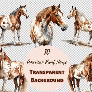 American Paint Horse Bundle - Transparente PNG-Sammlung, Aquarell-Grafiken, Kinderzimmer Wandkunst, Baby-Dusche-Dekor und mehr