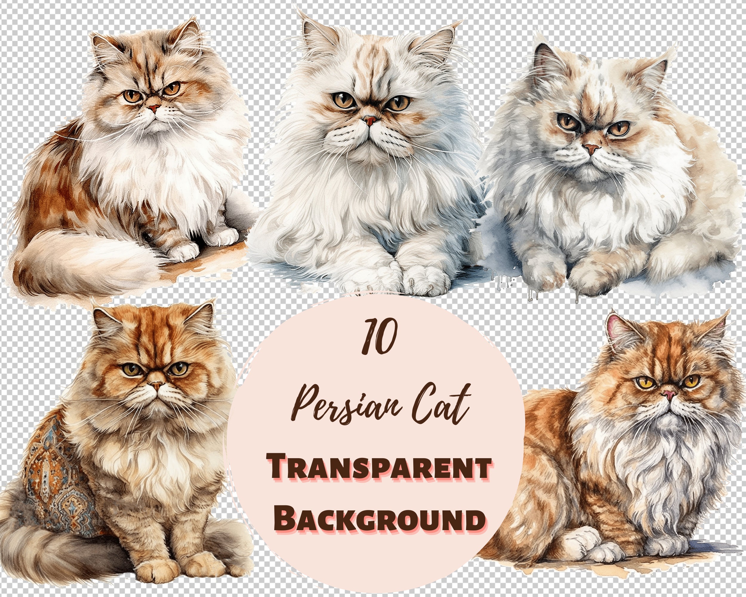Persian Cat Clipart Bundle Transparent PNG Collection, Watercolor ...