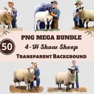 4-H Show Sheep Mega Bundle 50 PNG-Clipart-Bilder - Transparente PNG-Sammlung, Pastellfarbe, Aquarell-Grafiken, Baby-Dusche-Dekor