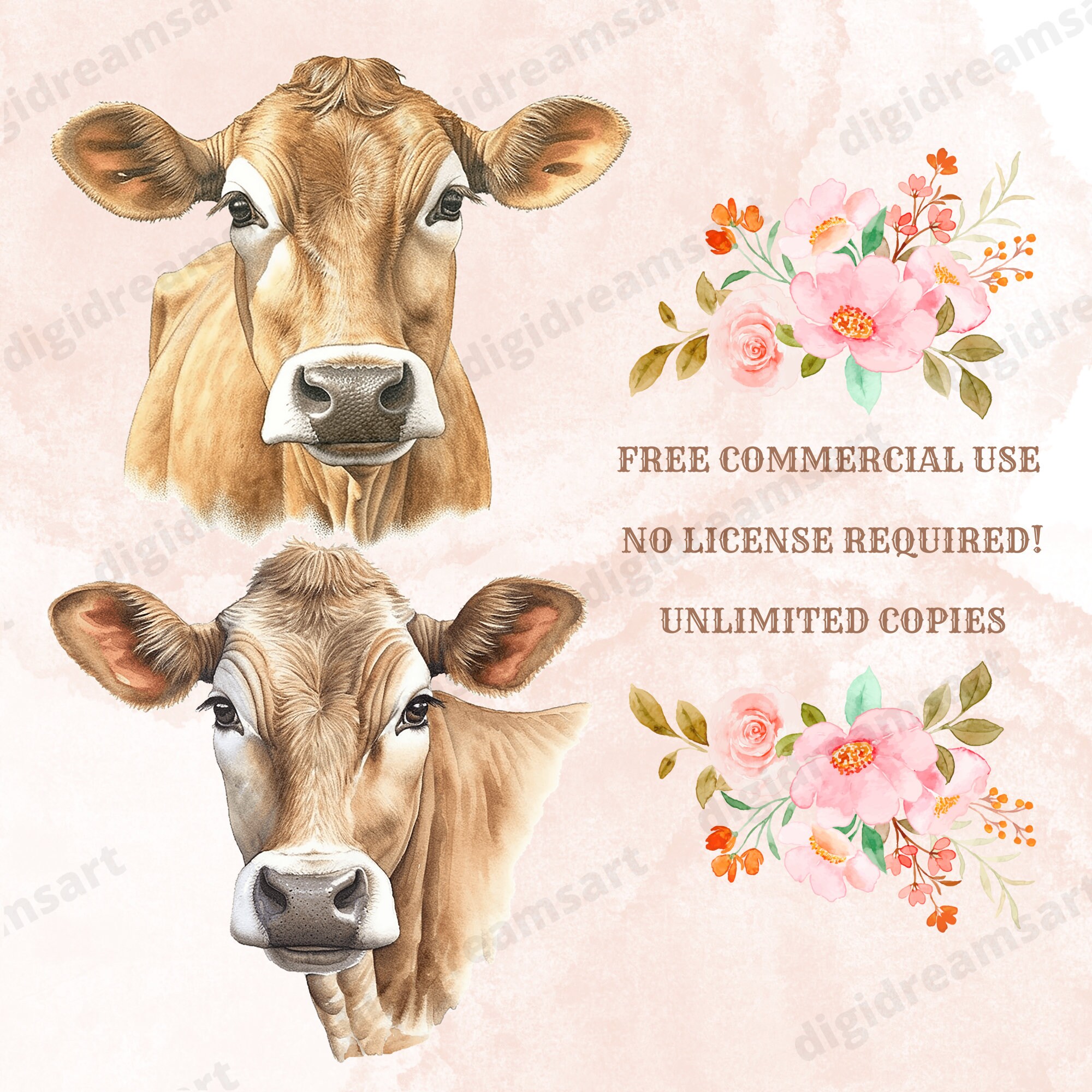 Brown Swiss Cow Clipart Bundle Transparent PNG Collection, Digital