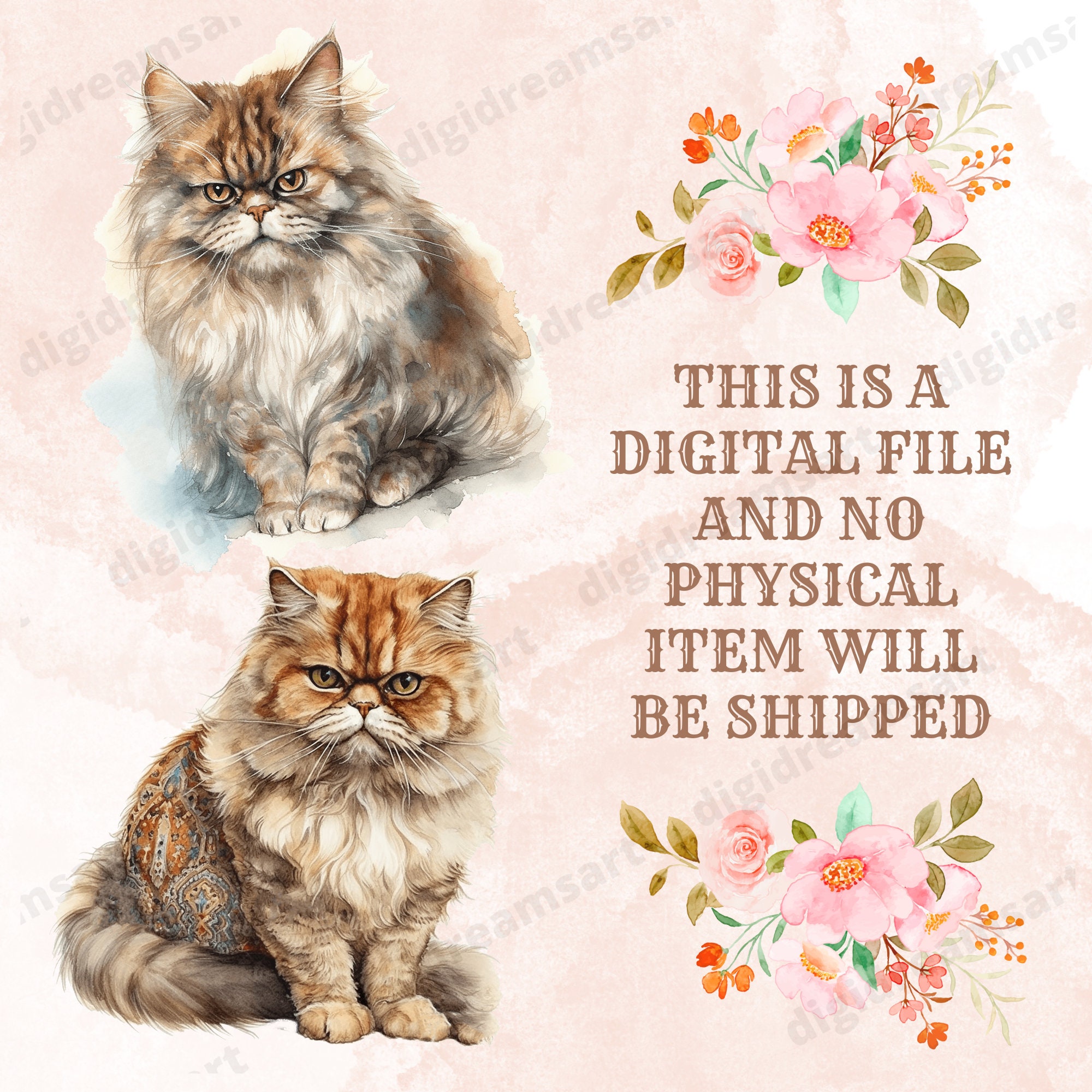 Persian Cat Clipart Bundle Transparent PNG Collection, Watercolor ...
