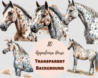 Appaloosa Horse - Transparent PNG Collection, Watercolor Graphics, Nursery Wall Art, Baby Shower Decor and more
