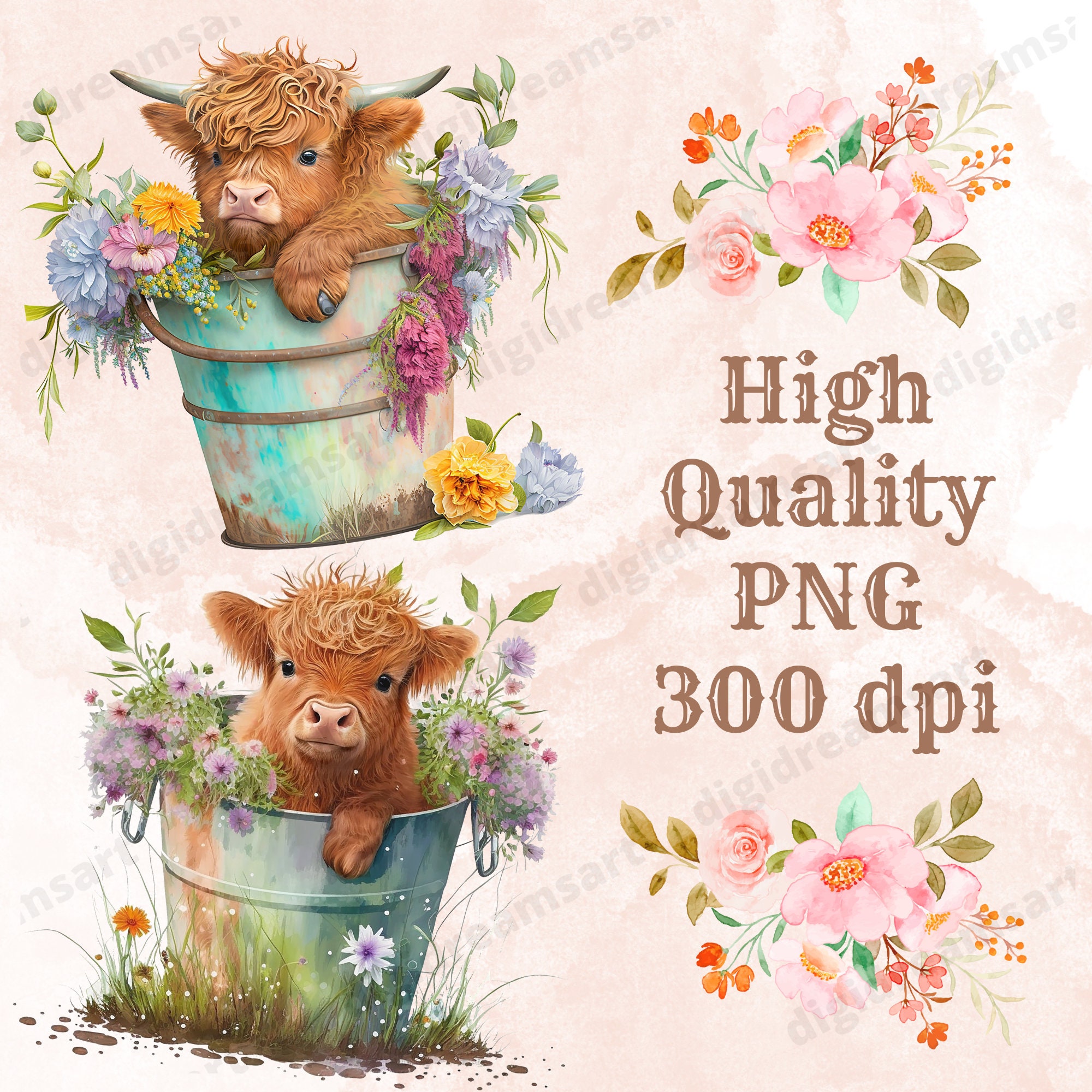 Cute Baby Highland Cow Design Bundle - PNG Transparent Clipart ...