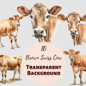 Pacote de clipart de vaca suíça marrom - coleção PNG transparente, impressões digitais, clipart e transferências para camisetas e projetos DIY e muito mais!
