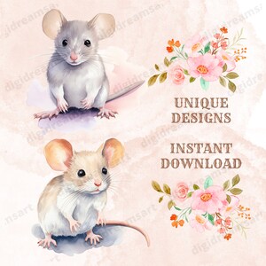 Cute Rodents Mega Bundle 50 PNG Clipart - Transparent PNG Collection ...