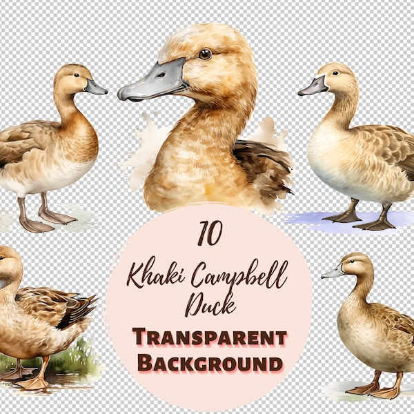 Khaki Campbell Duck Clipart Bundle - Transparent PNG Collection, Watercolor, Pastel Color, Digital Prints, Transfers for T-Shirts and more