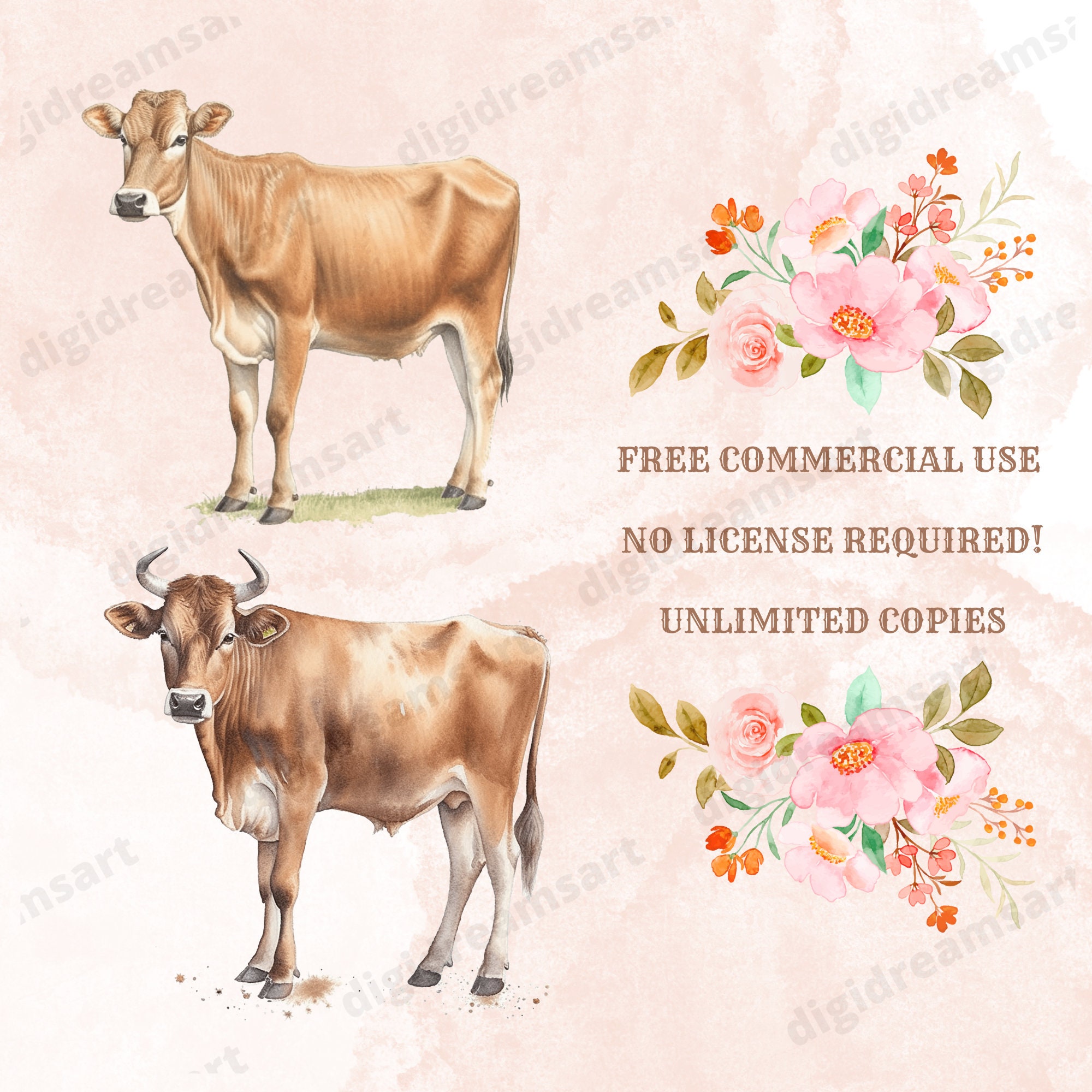 Brown Swiss Cow Clipart Bundle Transparent PNG Collection - Etsy