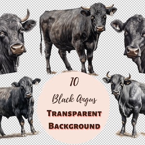 Black Angus Clipart Bundle - Collection PNG transparente, impressions numériques, cliparts et transferts pour T-shirts et projets de bricolage et plus encore !