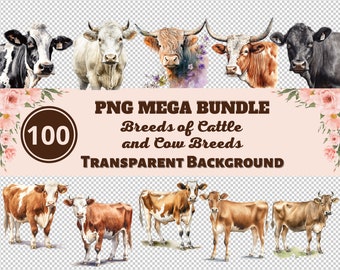Breeds of Cattle and Cow Breeds Mega Bundle 100 PNG Clipart - Transparent PNG Collection, Watercolor Graphics, Nursery Wall Art