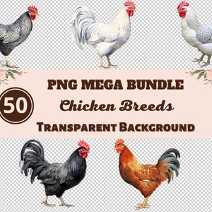 Chicken Breeds Mega Bundle 50 PNG Clipart - Collection PNG transparente, impressions numériques, aquarelle, couleur pastel, transferts pour T-Shirts !