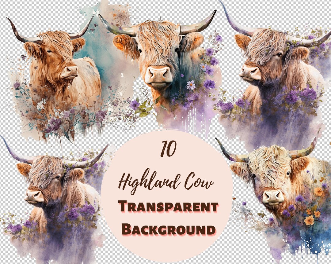 Highland Cow Design Bundle - PNG Transparent Clipart Collection ...