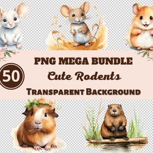 Schattige knaagdieren Mega Bundle 50 PNG Clipart - Transparante PNG-collectie, digitale prints, clipart, transfers voor T-shirts en doe-het-zelf-projecten!