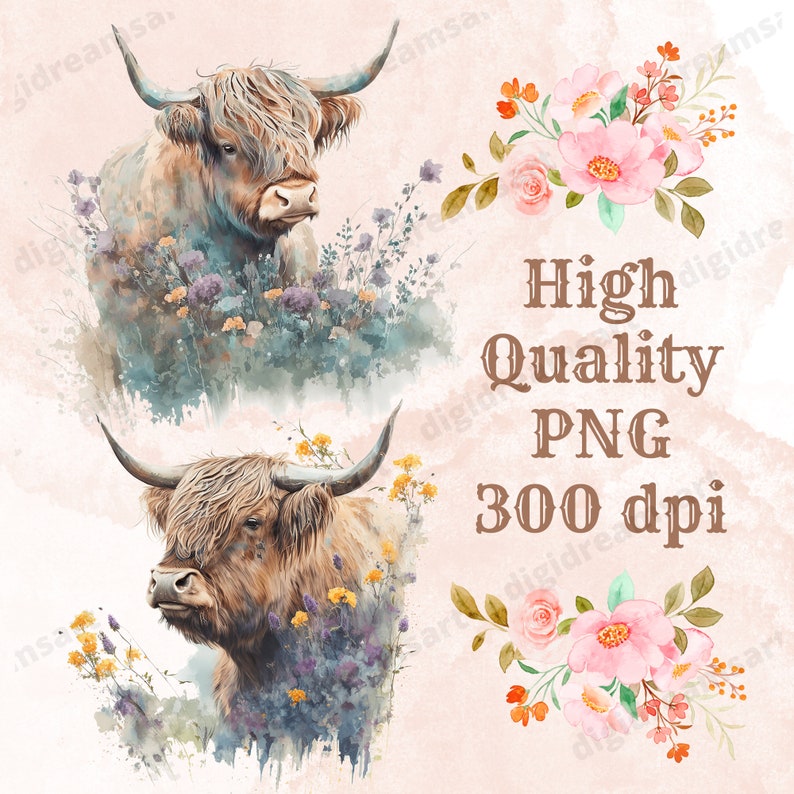 Watercolor Highland Cow Clipart – Transparent PNG Bundle - Etsy