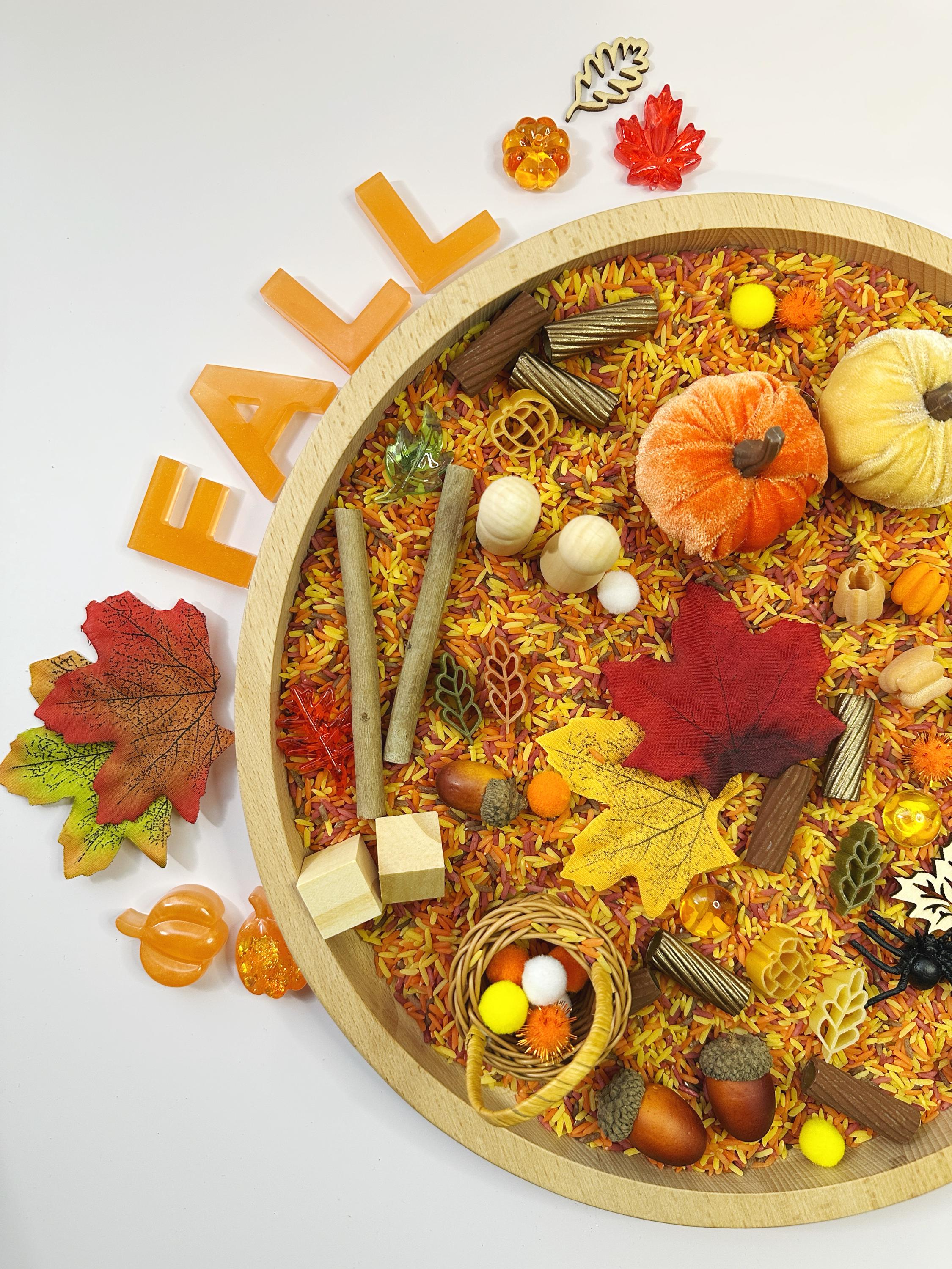 Autumn Harvest Sensory Bin, Montessori Learning, Sensory Play, Resin ...