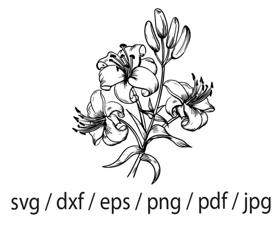 Orchids Flower SVG Orchids SVG Flower Svg Flower Dxf - Etsy