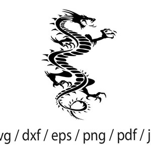 Men's Dragon Tiger Pattern Chinese Elements Tradition Medieval Ink