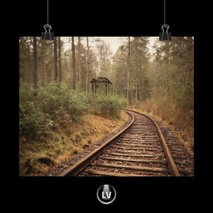 Rustikales Natur Wand Kunst Poster - Serene Eisenbahn Szene, Wohnkultur, Geschenke für Naturliebhaber, Vintage Dekoration, Fotografie Druck | APLS #297