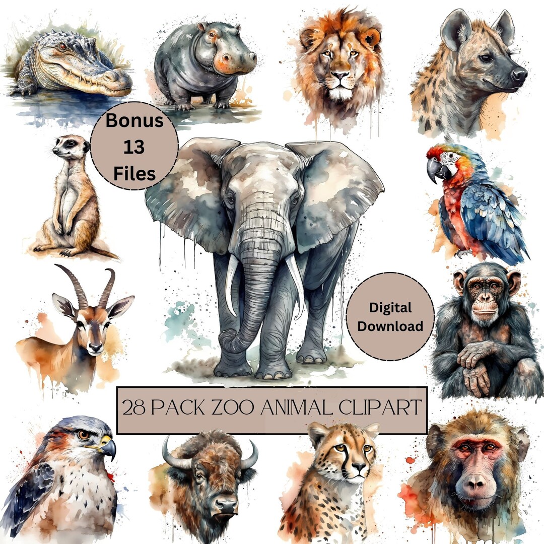Digital Clipart Zoo Animal Stickers PNG Sticker Clip Art Etsy