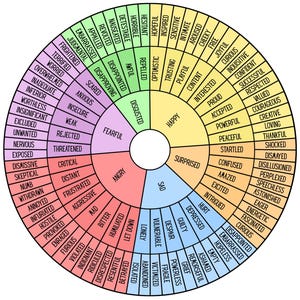 May include: A colorful wheel chart with a variety of emotions listed in a circle. The emotions are grouped by color, with red for anger, orange for fear, yellow for sadness, green for happiness, blue for surprise, and purple for disgust.
