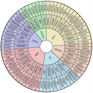 Op de afbeelding: Een cirkelvormig diagram dat een reeks menselijke emoties illustreert. Het wiel is verdeeld in kleurgecodeerde secties, elk gelabeld met woorden die gevoelens beschrijven zoals gelukkig, verdrietig, boos en bang. Het diagram is ontworpen om emoties te helpen identificeren en begrijpen.