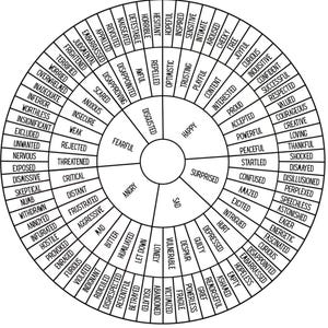 May include: A black and white wheel chart with 50 different emotions listed around the circle. The emotions are arranged in a spectrum from negative to positive.