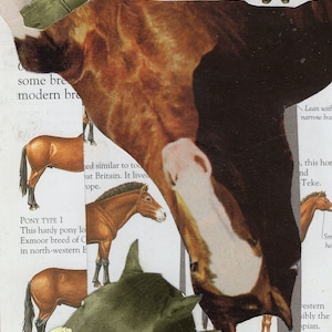 Horse Girls Incorporated - 4x6 inch framed