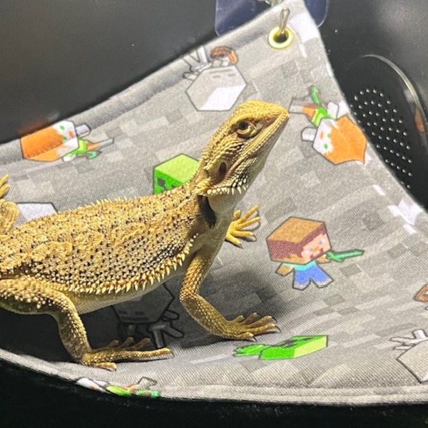 Bearded Dragon Hammock