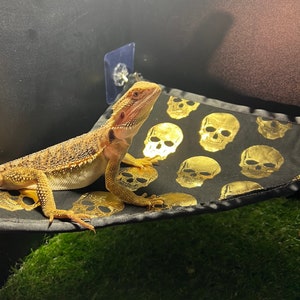 Limited edition, Halloween Bearded Dragon Hammock