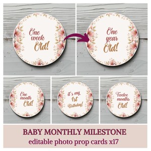 Accesorio fotográfico mensual para niña bebé, Tarjetas de hitos para bebés, Foto mensual de bebé, Marcador de hitos, Boho floral, Rosa empolvado, Plantilla editable, BG6