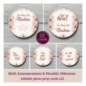 Accessoire photo mensuel pour petite fille, accessoire photo pour faire-part de naissance de petite fille, cartes-photos d'étape du mois, boho floral, rose poudré, modifiable, BG6