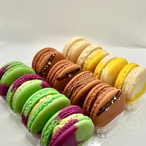 May include: A clear plastic container filled with colorful macarons. The macarons are arranged in rows and include green, purple, brown, yellow, and white colors.
