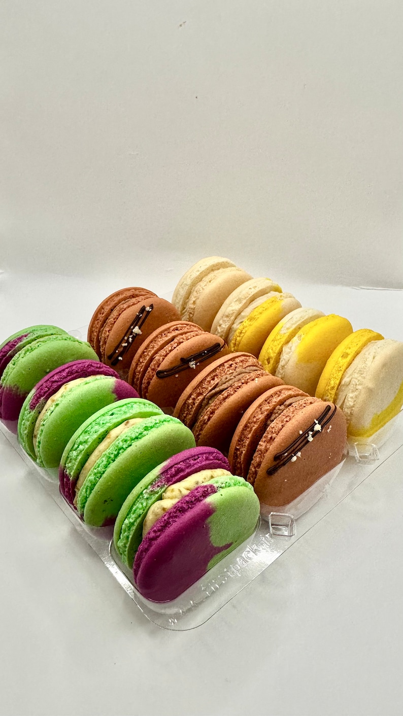 May include: A clear plastic container filled with colorful macarons. The macarons are arranged in rows and include green, purple, brown, yellow, and white colors.