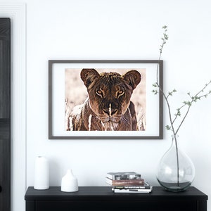 Cat Lovers Printable Wall Art, Modern Animal Instant Download Printable Art, Modern Lion Prints, Safari Nursery Printable Art Lion, Lion Art