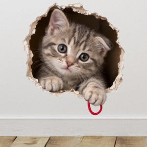 May include: A wall decal featuring a grey tabby kitten peering through a circular hole in a white wall. The kitten has large dark eyes, striped fur, and is holding a small red circular ring with one paw, creating a realistic 3D visual effect.