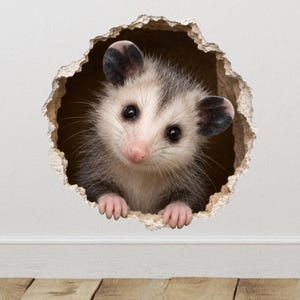 May include: A wall decal featuring a realistic, furry opossum with white and grey fur, black ears, and a pink nose, peering out from a circular, jagged hole in a white wall, with its small front paws resting on the bottom edge of the opening.