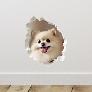Pomeranian in Hole Decal - Dog Hole 3D Wall Sticker