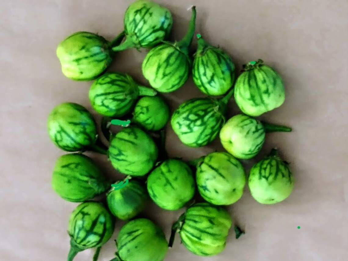 Afufa, Striped African Garden Egg SEEDS for PLANTING, African Eggplant