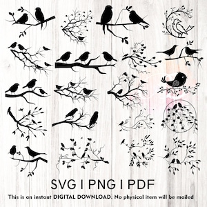 Pássaro SVG, Pássaro em galho SVG, Pacote de pássaros SVG, Pássaros em galho SVG, Galho png, Arquivo de corte de pássaros em um galho, Galho de árvore com pássaros SVG png