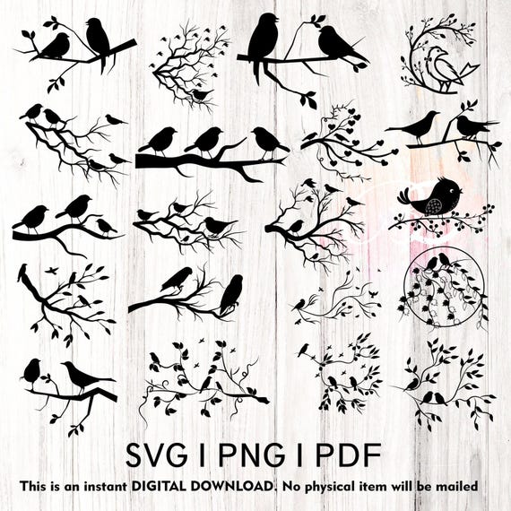 Bird SVG, Bird on branch SVG, Birds SVG bundle, Birds on branch svg, Branch png, Birds on a branch cut file, tree branch with birds svg png