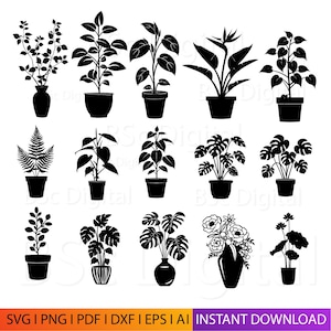 15 jarrones de plantas para decoración de pared / Plantillas de plantas SVG PNG DXF / Jarrón minimalista cortado a láser / Tulipán negro dxf, corte láser, Cricut, Glowforge