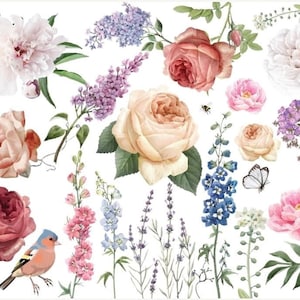 Fanciful Garden transfer Mint av Michelle rub-on transfers blommor rosor