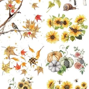 May include: A digital collage featuring autumn leaves, sunflowers, pumpkins, and birds. The collage is perfect for crafting and scrapbooking projects.