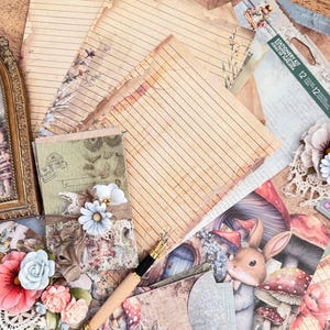 Ensemble de papeterie de cartes postales de la collection Retour au pays des merveilles