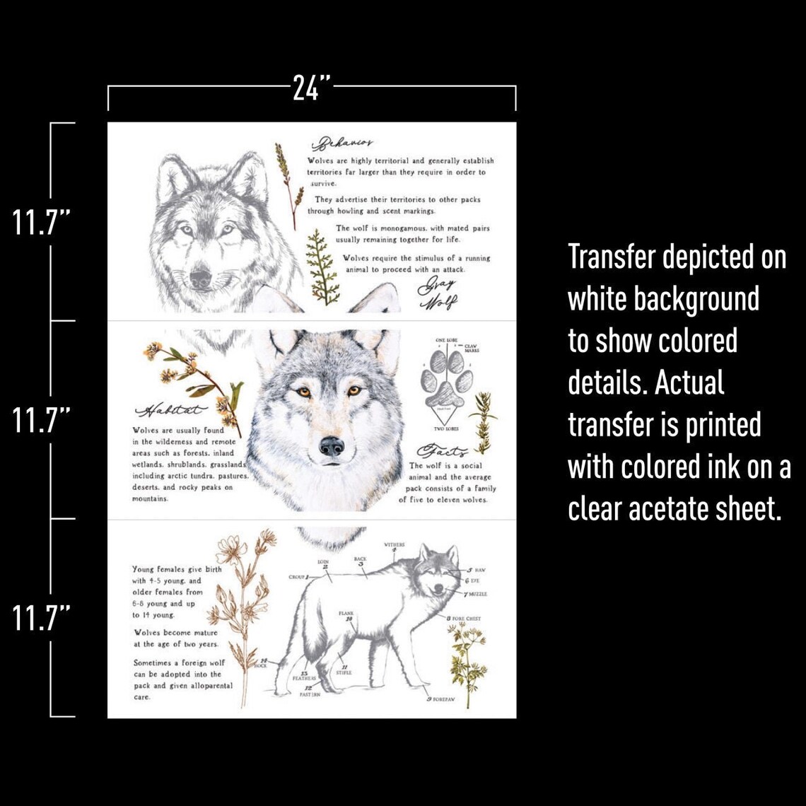 Gray Wolf Transfer Redesign With Prima - Etsy