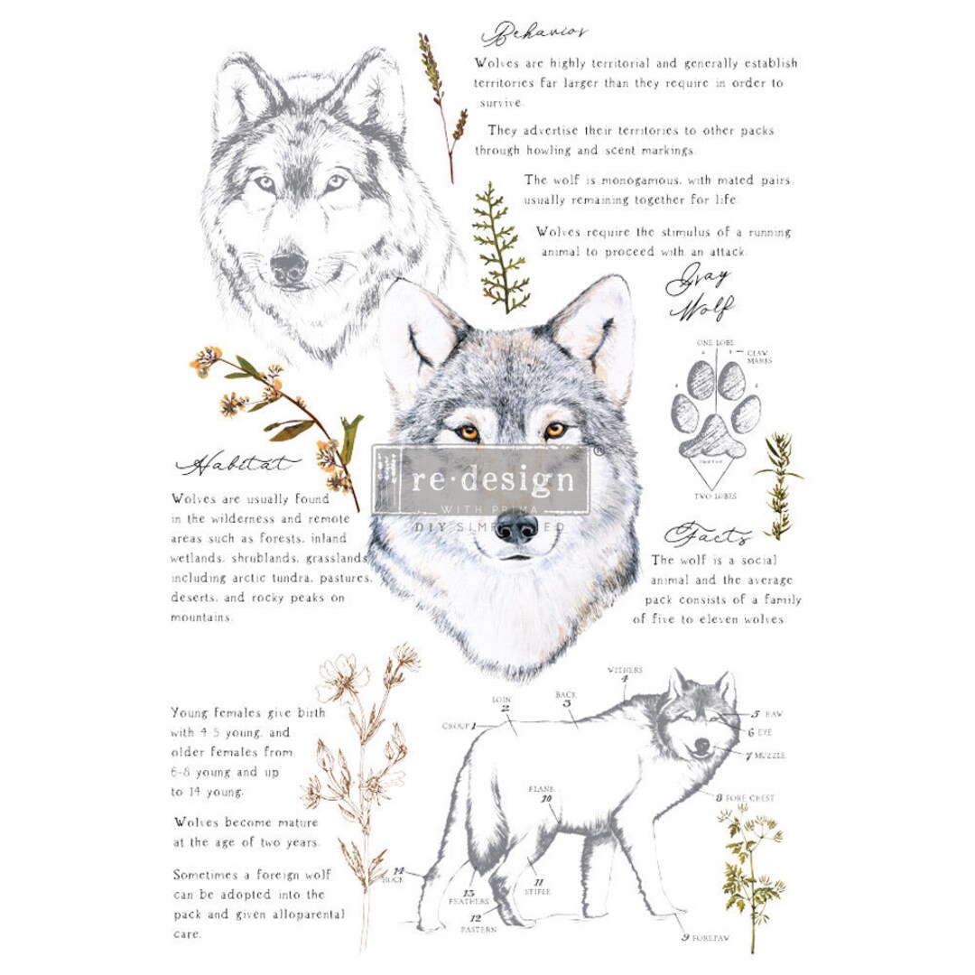 Gray Wolf Transfer Redesign With Prima - Etsy