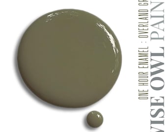 Wise Owl One Hour Enamel Paint - Overland Green quart furniture cabinet paint