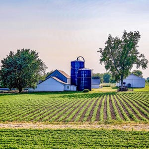 Farm in Pecatonica, Illinois.
